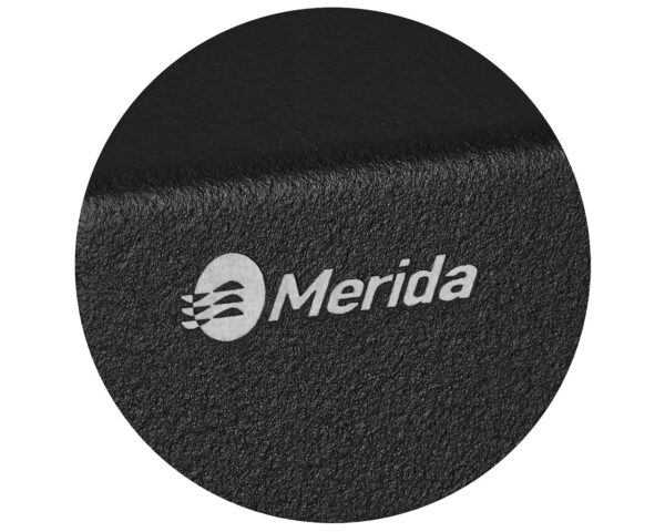 Pojemnik na papier toaletowy MERIDA STELLA DUO BLACK LINE z uchwytem na resztkę rolki papieru, średnica papieru do 20 cm, czarny Pojemnik na papier toaletowy MERIDA STELLA DUO BLACK LINE z uchwytem na resztkę rolki papieru, średnica papieru do 20 cm, czarny